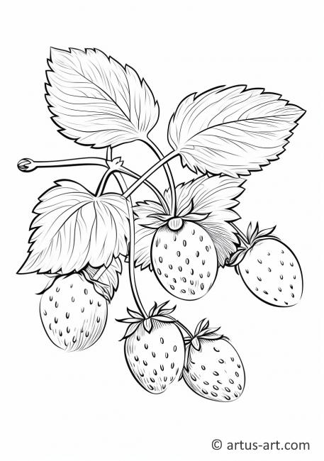 Strawberry with Leaves Coloring Page